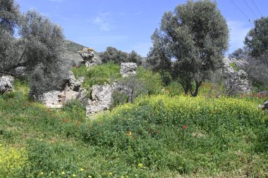 Girit Roma Arkeolojik Sitesi Gortyna, Yunan