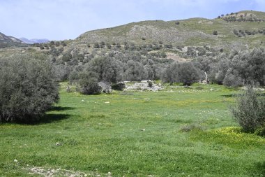 Girit Roma Arkeolojik Sitesi Gortyna, Yunan