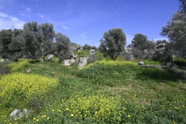 Girit Roma Arkeolojik Sitesi Gortyna, Yunan