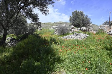 Girit Roma Arkeolojik Sitesi Gortyna, Yunan