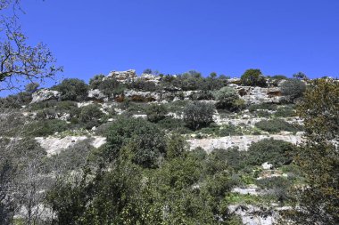 Yunanistan 'ın Rethymno kenti yakınlarındaki Girit Myli Kanyonu