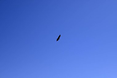 Beton dağlarının önündeki voltaj Girit, Yunanistan