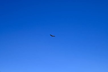 Beton dağlarının önündeki voltaj Girit, Yunanistan