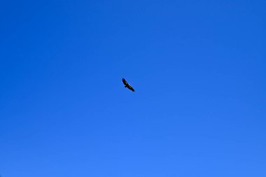 Beton dağlarının önündeki voltaj Girit, Yunanistan