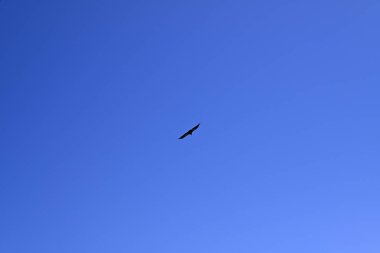 Beton dağlarının önündeki voltaj Girit, Yunanistan