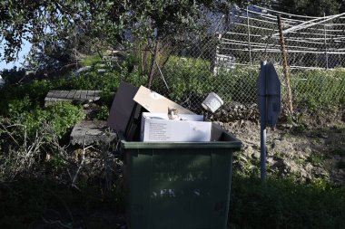 Farklı Girit sokak kedileri, Yunanistan, Avrupa