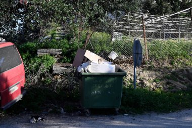 Farklı Girit sokak kedileri, Yunanistan, Avrupa