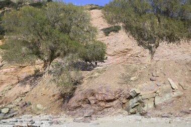 Sadece Girit Keçileri ve gruplar halinde Girit, Yunanistan