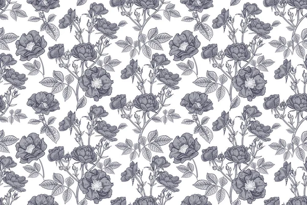Черно Белый Фон Нежный Цветочный Узор Цветы Милых Декоративных Роз — стоковый вектор