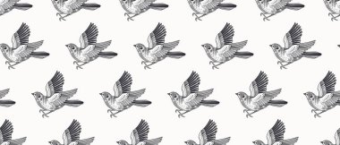Şirin kuşlar. Basit, pürüzsüz desen. Siyah ve beyaz. Vektör çizimi. Klasik dekor.
