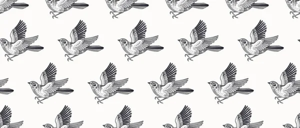 Niedliche Vögel Einfaches Nahtloses Muster Schwarz Weiß Vektorillustration Vintage Dekor — Stockvektor