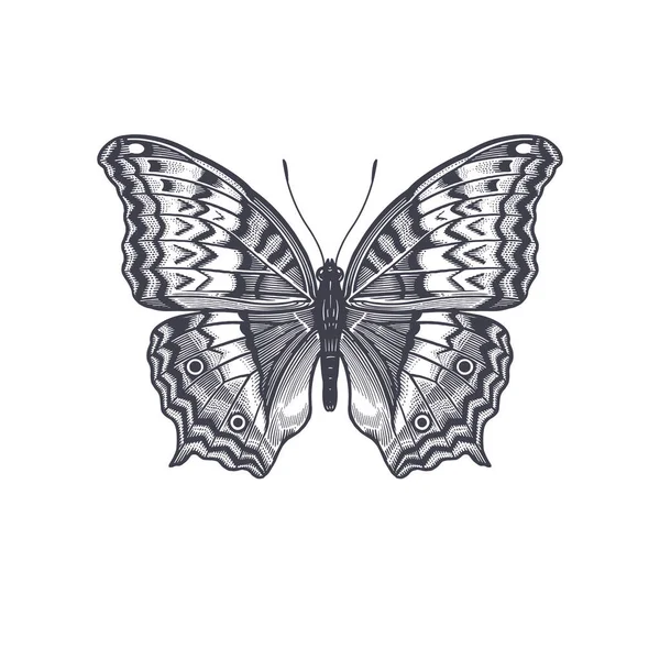 Bella Farfalla Decorativa Isolata Sfondo Bianco Illustrazione Vettoriale Bianco Nero — Vettoriale Stock