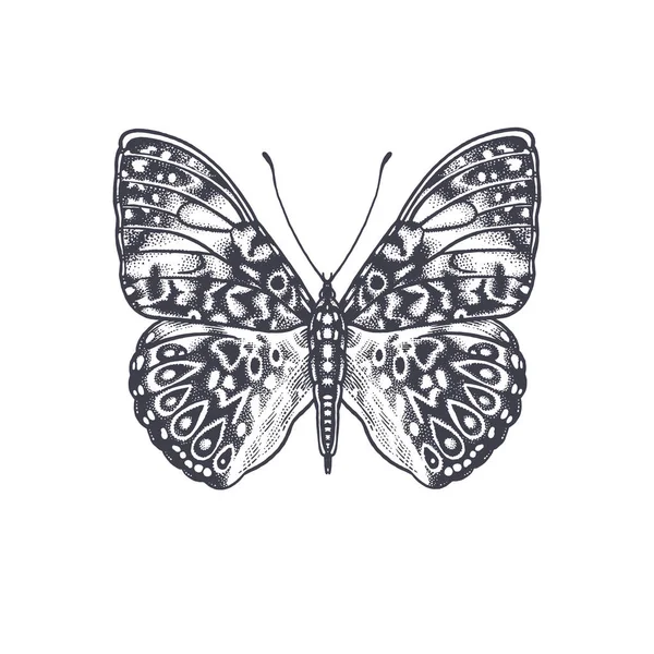 Bella Farfalla Decorativa Isolata Sfondo Bianco Illustrazione Vettoriale Bianco Nero — Vettoriale Stock
