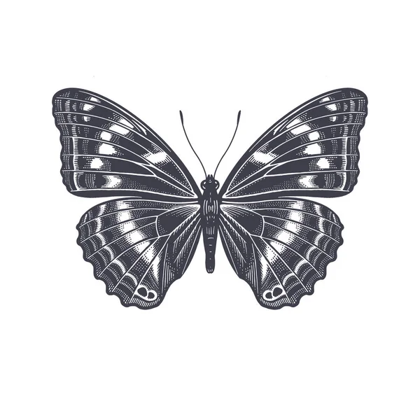 Papillon Isolé Sur Fond Blanc Vecteur — Image vectorielle