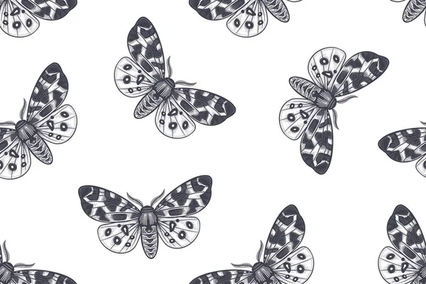 Vintage Seamless Pattern Night Butterfly White Background Vector Black White — Stock Vector