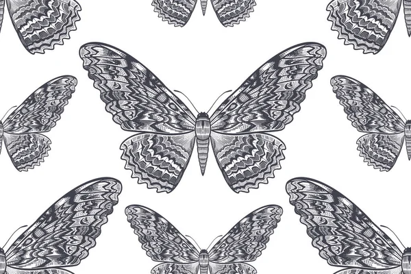 Vintage Seamless Pattern Noční Motýl Bílém Pozadí Vektorová Černobílá Ilustrace — Stockový vektor