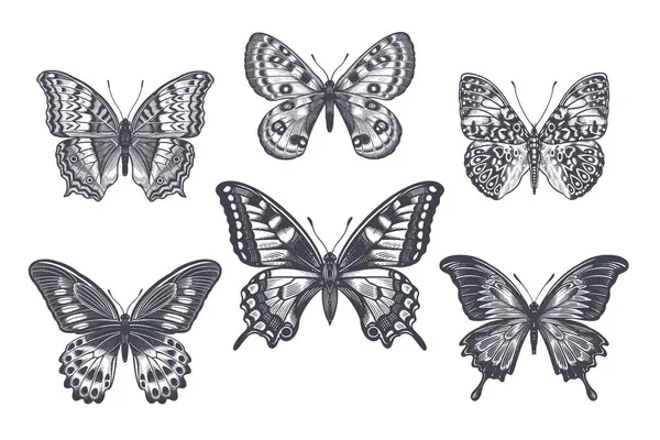 Schwarz Weiße Schmetterlinge Set Vorhanden Jahrgang — Stockvektor