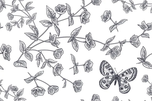 Bloemen Zomer Achtergrond Zwart Wit Naadloos Patroon Kleine Tuinbloemen Vlinders — Stockvector