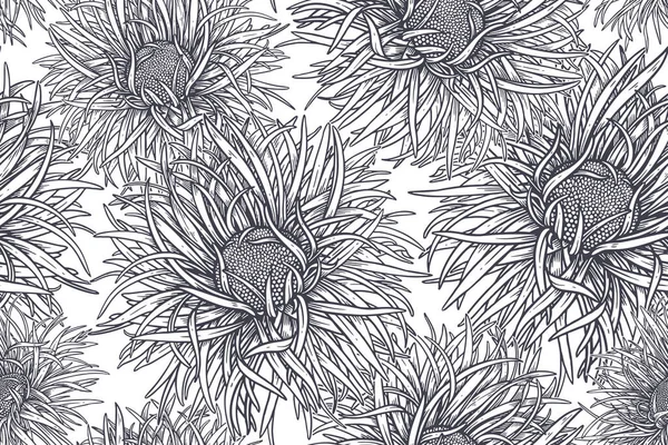 黒と白のシームレスなパターン 花の夏の背景 花のアスターを咲かせます 織物のためのヴィンテージテンプレート ベクターイラスト — ストックベクタ