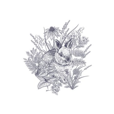Tatlı Paskalya tavşanı. Siyah ve beyaz vektör çizimi. Çiçeklerin arasındaki tavşan. Tavşan ve kır çiçekleri. Eski kart