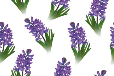 Klasik çiçeksiz desen. Bahar Çiçeği illüstrasyonu. Full Bloom 'daki sümbüller. Beyaz arka planda lüks bahçe çiçekleri. Tekstil, duvar kağıdı, ambalaj kağıdı şablonu