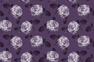 Vintage Floral seamless pattern. Summer Flower illustration. Amazing roses in Full Bloom. Luxurious garden flowers. Plum color background. For textiles, wallpaper, wrapping paper