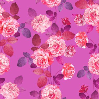 Klasik çiçeksiz desen. Yaz Çiçeği illüstrasyonu. Full Bloom 'daki muhteşem güller. Canlı pembe arka planda gösterişli bahçe çiçekleri. Tekstil, duvar kağıdı, ambalaj kağıdı için.