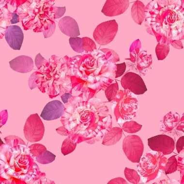 Klasik çiçeksiz desen. Yaz Çiçeği illüstrasyonu. Full Bloom 'daki muhteşem güller. Canlı pembe arka planda gösterişli bahçe çiçekleri. Tekstil, duvar kağıdı, ambalaj kağıdı için.
