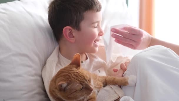Pisică Din Casă Provoacă Alergii Copil — Videoclip de stoc