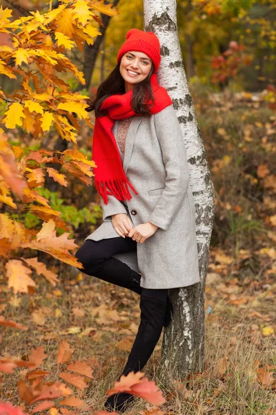 美丽的黑发 秋天的风景 戴着红色的帽子和围巾 — 图库照片