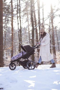 Anne ve bebek bebek bebek arabasında, kış ormanında yürüyorlar..