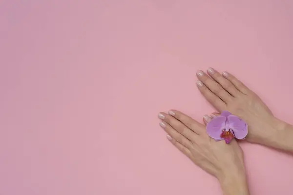 粉红背景的天然指甲 — 图库照片