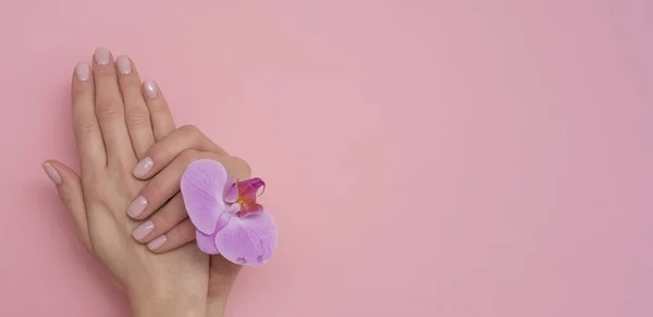 Naturalny Manicure Różowym Tle — Zdjęcie stockowe