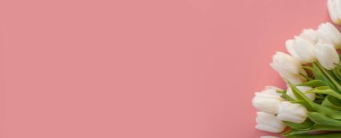 Pembe arka planda bir buket lale..