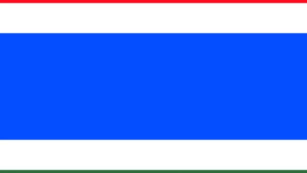 Флаг Венгрии Анимированный Переход Вертикали Обеих Сторон Через Цветную Клавишу — стоковое видео