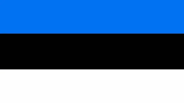 Bandeira Estónia Uhd — Fotografia de Stock