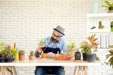 Bıyıklı, yaşlı ve yakışıklı bir adam ağaç bakımıyla mutlu olur. Evde bahçıvanlık hobisi. Emeklilikten sonra mutlu yaşamak. Doğa ve çevre kavramları.