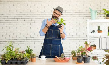 Bıyıklı, yaşlı ve yakışıklı bir adam ağaç bakımıyla mutlu olur. Evde bahçıvanlık hobisi. Emeklilikten sonra mutlu yaşamak. Doğa ve çevre kavramları.