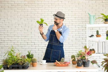 Bıyıklı, yaşlı ve yakışıklı bir adam ağaç bakımıyla mutlu olur. Evde bahçıvanlık hobisi. Emeklilikten sonra mutlu yaşamak. Doğa ve çevre kavramları.