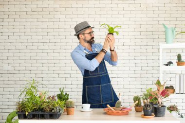 Bıyıklı, yaşlı ve yakışıklı bir adam ağaç bakımıyla mutlu olur. Evde bahçıvanlık hobisi. Emeklilikten sonra mutlu yaşamak. Doğa ve çevre kavramları.