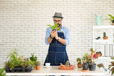 Bıyıklı, yaşlı ve yakışıklı bir adam ağaç bakımıyla mutlu olur. Evde bahçıvanlık hobisi. Emeklilikten sonra mutlu yaşamak. Doğa ve çevre kavramları.
