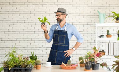Bıyıklı, yaşlı ve yakışıklı bir adam ağaç bakımıyla mutlu olur. Evde bahçıvanlık hobisi. Emeklilikten sonra mutlu yaşamak. Doğa ve çevre kavramları.