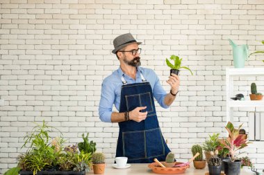 Bıyıklı, yaşlı ve yakışıklı bir adam ağaç bakımıyla mutlu olur. Evde bahçıvanlık hobisi. Emeklilikten sonra mutlu yaşamak. Doğa ve çevre kavramları.