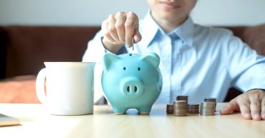 Genç bir kadın domuz kumbarasına nasıl para konulacağını öğretiyor. Başarı için büyüyen bir iş kuruyor ve emeklilik kavramını kurtarıyor..