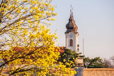 Baharda açan ağacı olan Tihany Benedictine Manastırı Kulesi, Macaristan.