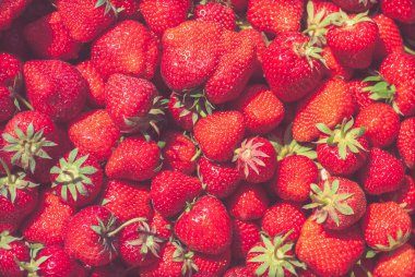 Sandıkta bir grup olgun taze çilek. Bir demet taze çilek resmi.