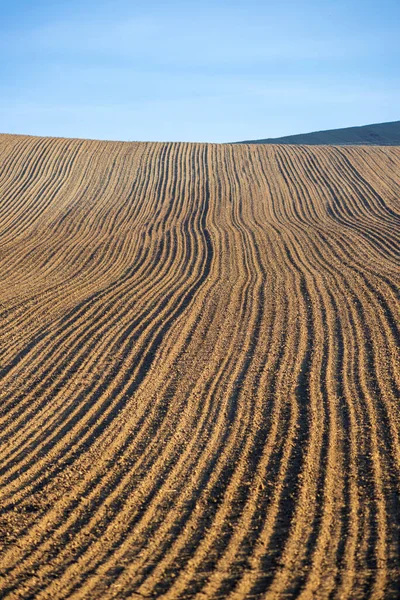 Agricultural Field Fallow Sloped Cultivated Farmland Hungary — Stock Photo, Image
