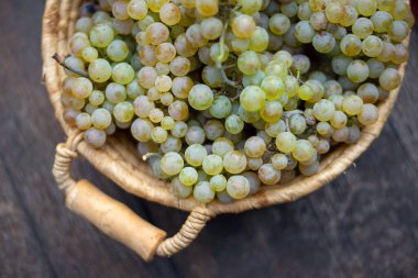 Vintage ahşap fıçı üzümlü sepet, şarap yapımı.