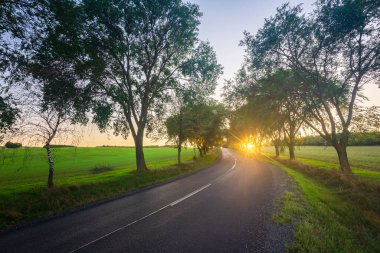 Macaristan, Pannonhalma yakınlarında gün batımında güneş ışığı alan köy yolu..