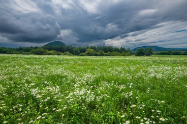 Balaton Highlands, Kali-Basin, Macaristan 'ın klasik Macar manzarası.